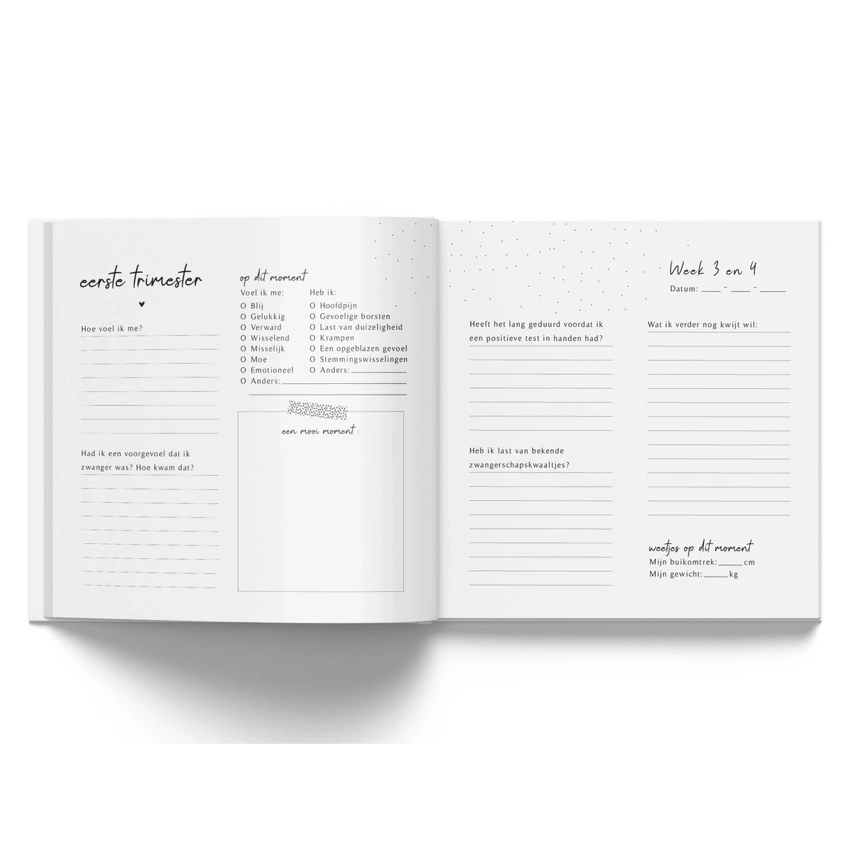 Mijn zwangerschapsdagboek - Linnen Taupe