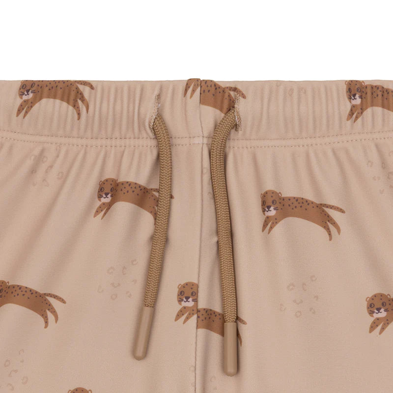 Zwemboxer - Bruin - Roamer