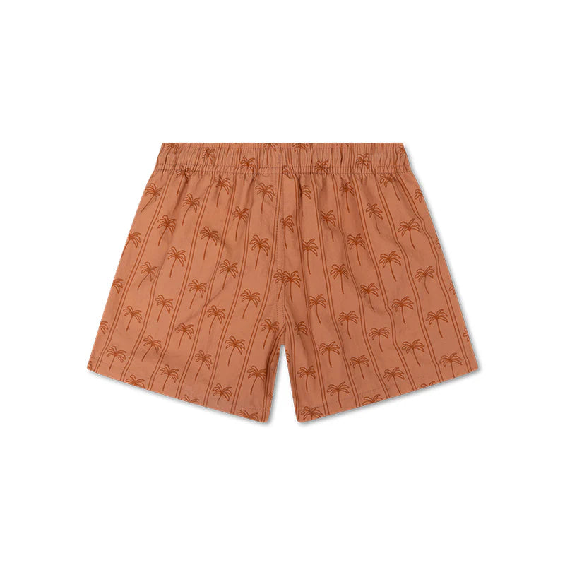 Zwembroek - Bruin - Palm Stripe