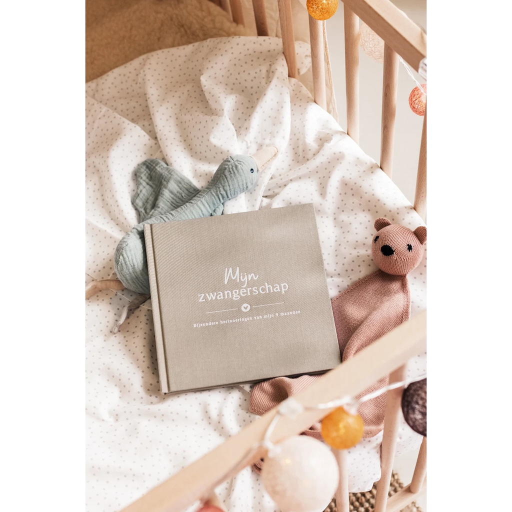 Mijn zwangerschapsdagboek - Linnen Taupe
